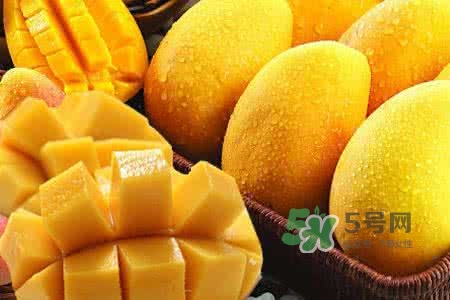 孕晚期能吃芒果嗎？孕晚期吃了很多芒果對胎兒好嗎？