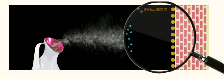 蒸臉器的最佳使用方法 蒸臉器哪個牌子好 蒸臉器的最佳使用方法 蒸臉器哪個牌子好