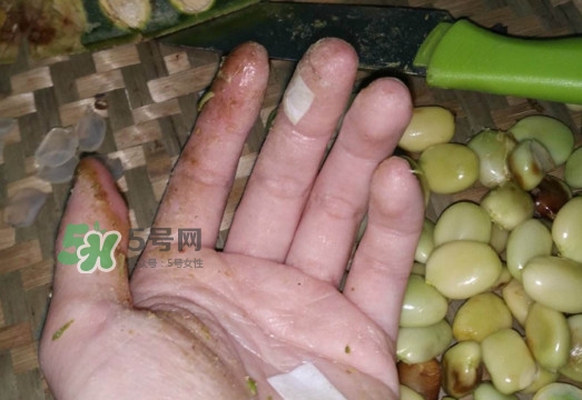 皂角米是怎么剝出來(lái)的？皂角米是酸性還是堿性