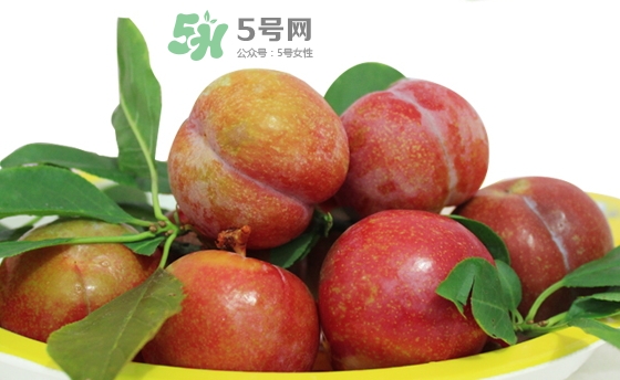 芙蓉李多少錢一斤？芙蓉李價格