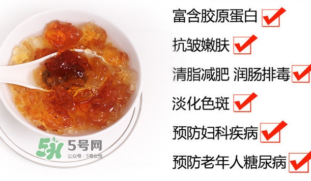 桃膠是桃樹上的膠嗎？桃膠是什么味道