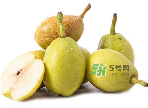 香梨能不能熬冰糖雪梨？香梨可以做冰糖雪梨嗎？