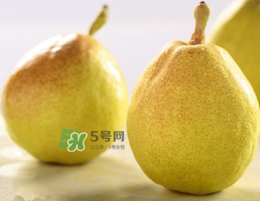 香梨能不能熬冰糖雪梨？香梨可以做冰糖雪梨嗎？