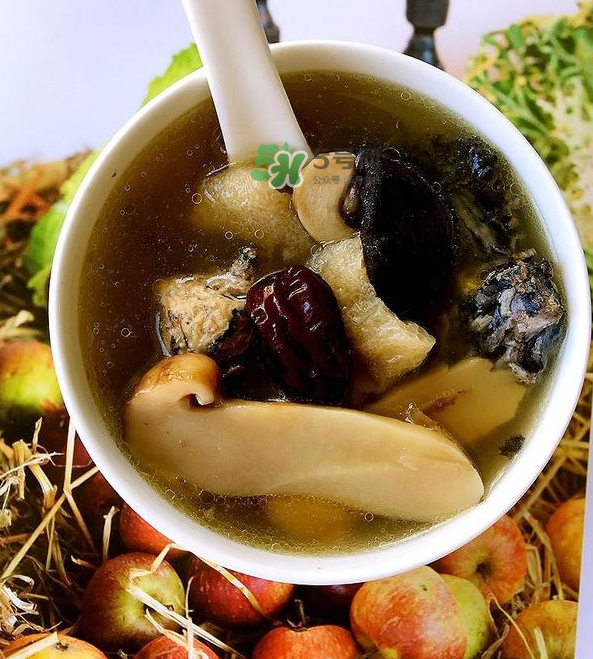 板栗和什么煲湯最好？板栗湯做法大全