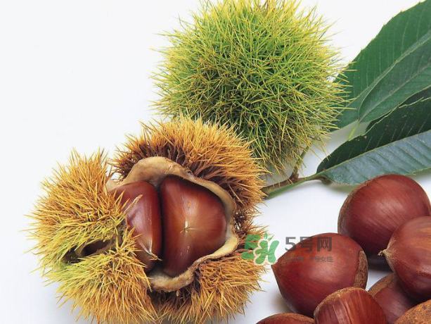 板栗和什么煲湯最好？板栗湯做法大全