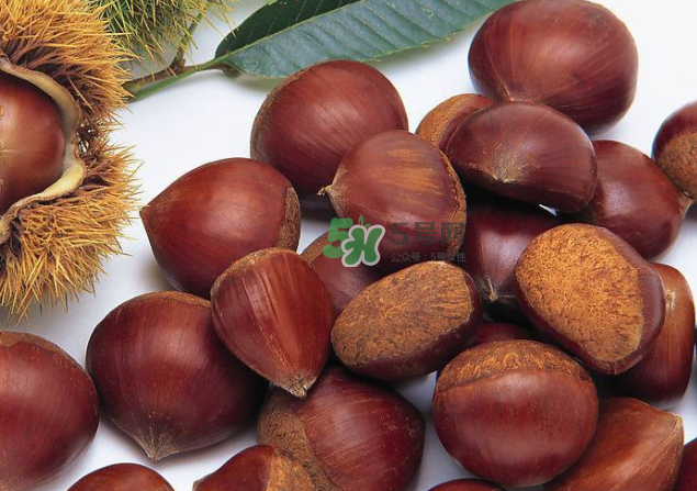 板栗和什么煲湯最好？板栗湯做法大全