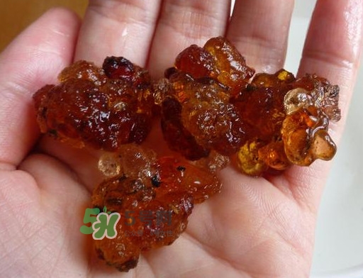 桃膠哪里有賣的？哪里產(chǎn)的桃膠最好