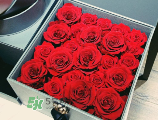 roseonly怎么買？roseonly如何買第二次？