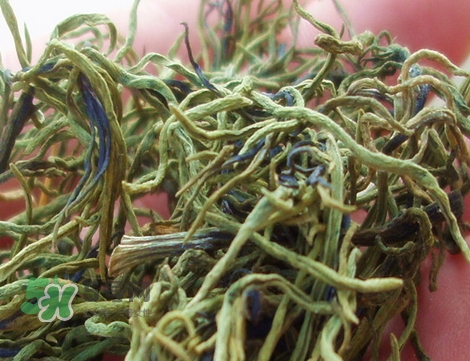 海英菜的營養(yǎng)價值_海英菜的功效與作用及食用方法 海英菜的營養(yǎng)價值_海英菜的功效與作用及食用方法