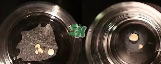 資生堂智能持久粉底液怎么樣？資生堂智能粉底液怎么用