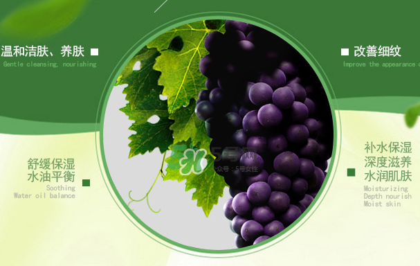 花肌粹葡萄籽護(hù)膚品怎么樣？花肌粹葡萄籽系列價(jià)格