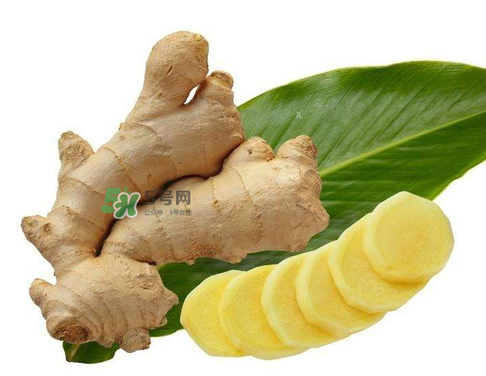 胃病患者可以長期食用生姜嗎？胃不好能不能吃姜？