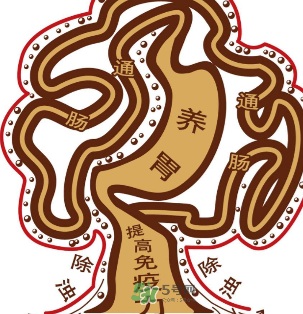 腸胃不好會引起頭暈嗎？頭暈與腸胃不好有關(guān)系嗎？