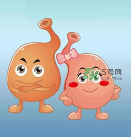 腸胃不好會影響月經嗎?腸胃不好會導致月經推遲嗎? 腸胃不好會影響月經嗎?腸胃不好會導致月經推遲嗎?