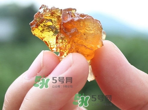 桃膠可以和什么一起煮？桃膠不能和什么一起吃