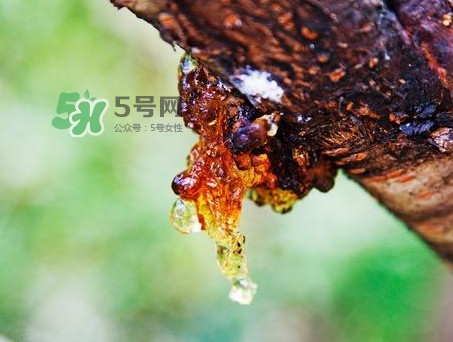 桃膠是發(fā)物嗎？桃膠是中藥嗎