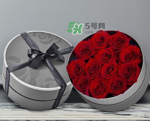 roseonly怎么讀？roseonly怎么讀在線讀？