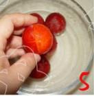 芙蓉李甜嗎？芙蓉李好吃嗎？