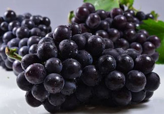 戶太八號什么時候成熟？戶太八號幾月份成熟？