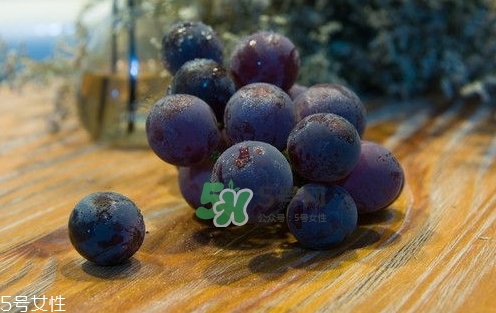 紫葡萄的營養(yǎng)價(jià)值_紫葡萄的功效與作用及飲食禁忌 紫葡萄的營養(yǎng)價(jià)值_紫葡萄的功效與作用及飲食禁忌