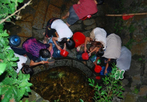 七夕水為什么不會(huì)壞？七夕水科學(xué)解釋