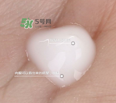 蘭芝新水酷特潤乳霜多少錢？蘭芝新水酷特潤乳霜價(jià)格