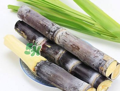 甘蔗什么時(shí)候成熟？甘蔗什么時(shí)候上市