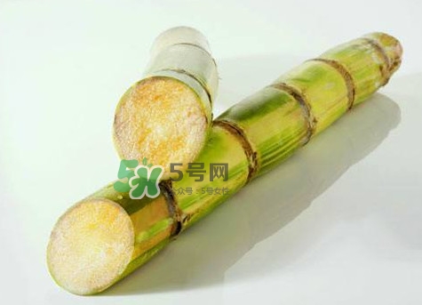 甘蔗是哪里的特產(chǎn)？甘蔗是什么地方的特產(chǎn)