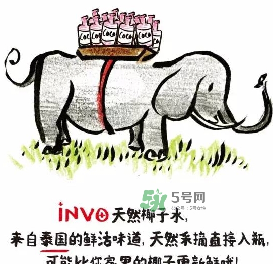 invo椰子水多少錢？invo椰子水好喝嗎？