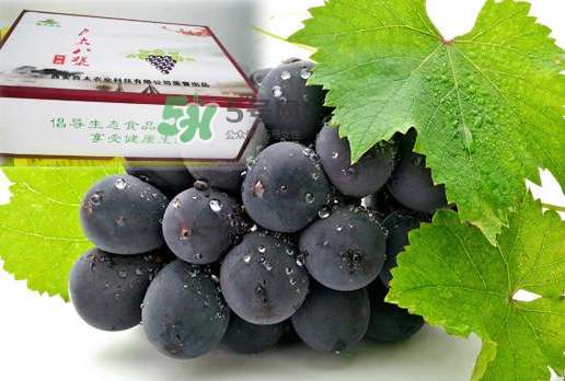 戶太八號什么時候成熟？戶太八號幾月份成熟？