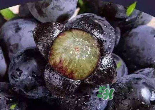 戶太八號多少錢一斤？戶太八號為什么在全國很有名？