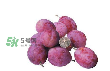 西梅什么時(shí)候上市？新疆西梅什么時(shí)候上市