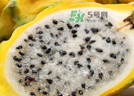 黃龍果的熱量 黃龍果可以減肥嗎？