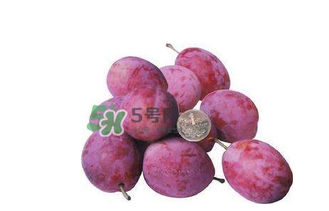 新鮮西梅好吃嗎？新鮮西梅什么味道