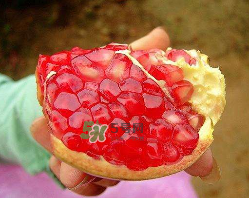 無籽石榴多少錢一斤 無籽石榴是轉(zhuǎn)基因嗎 無籽石榴多少錢一斤 無籽石榴是轉(zhuǎn)基因嗎