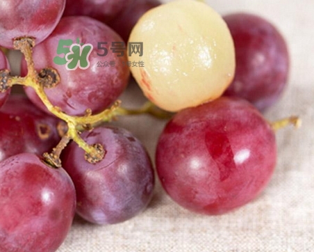 提子皮怎么好剝_提子皮怎么剝圖解_快速剝提子皮技巧 提子皮怎么好剝_提子皮怎么剝圖解_快速剝提子皮技巧