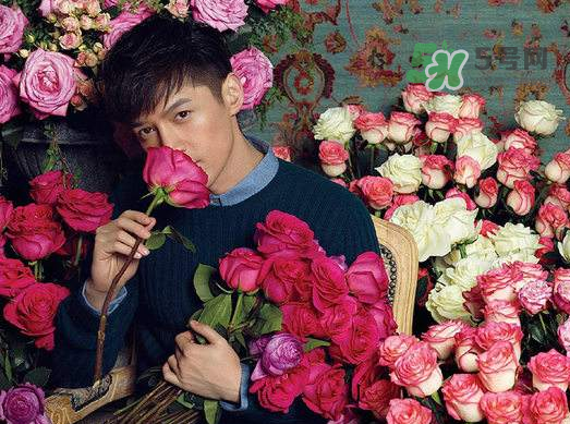 野獸派和roseonly哪個(gè)好？野獸派和roseonly區(qū)別