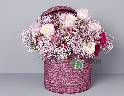 野獸派和roseonly哪個(gè)好？野獸派和roseonly區(qū)別