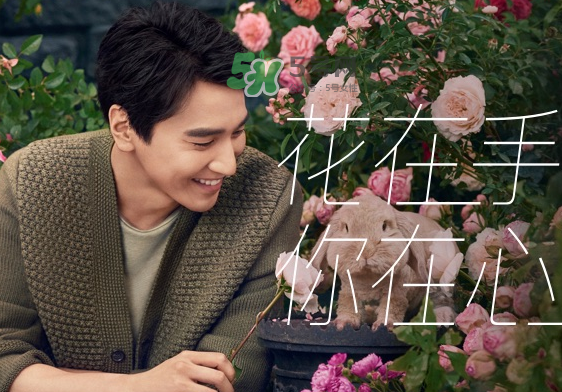 野獸派是什么品牌？野獸派是哪個(gè)國家的？