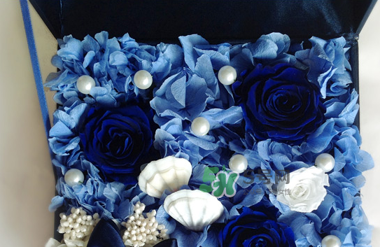 野獸派永生花會死嗎？野獸派永生花是什么？