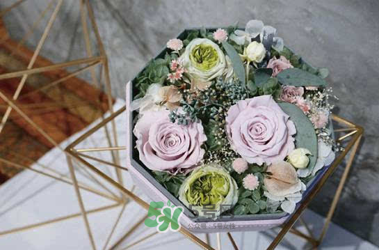 野獸派永生花會死嗎？野獸派永生花是什么？