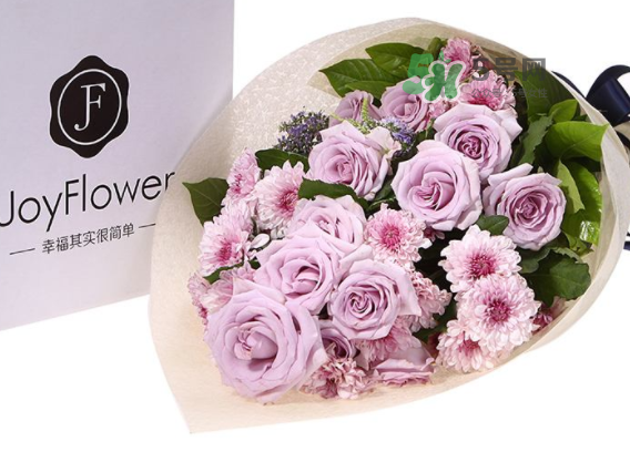 joyflower是哪國(guó)品牌？joyflower怎么樣？