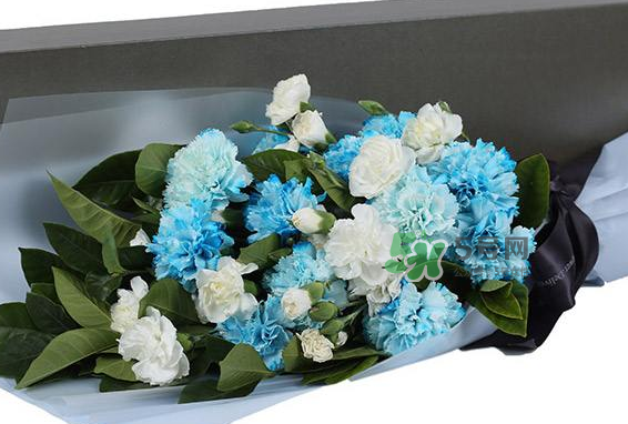 joyflower是哪國(guó)品牌？joyflower怎么樣？