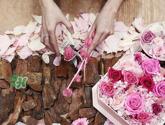 the beast是什么品牌？the beast是什么牌子？