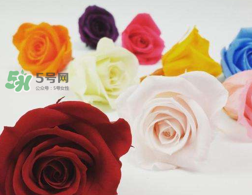 送永生花代表什么？一個男孩送自己永生花是什么意思？