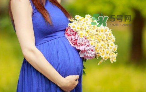 孕婦可以拔牙嗎？孕婦可以拔智齒嗎？