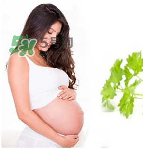 孕婦可以拔牙嗎？孕婦可以拔智齒嗎？