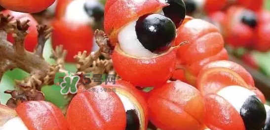 黑卡飲料多少錢一瓶？黑卡6小時(shí)價(jià)格表