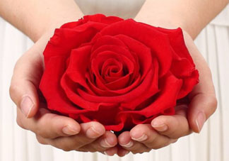 送永生花代表什么？一個(gè)男孩送自己永生花是什么意思？