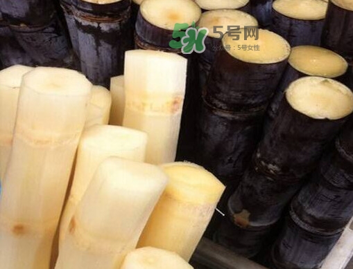 甘蔗是哪里的特產(chǎn)？甘蔗是什么地方的特產(chǎn)